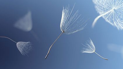 Preparation not prediction: Legal moves that build resilience