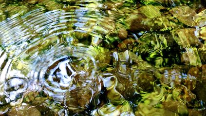 Water Neutrality Update