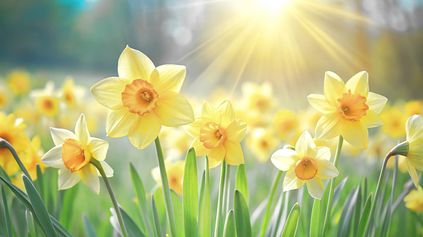 Don't let April employment law changes fool you - what employers need to know