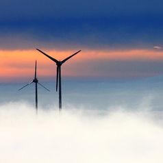 Companies need to consider their ESG impact and soon