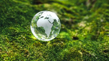 COP30 Briefing - Day 1