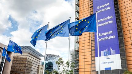 When inaccurate information costs €40 million: The Kingspan case