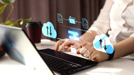 Information exchanges: the devil is not always in the detail