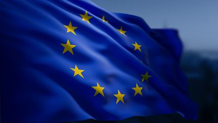 Level up: The EU upgrades the FDI rulebook