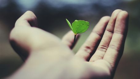 The green EmpCo clock is ticking … what businesses need to know now