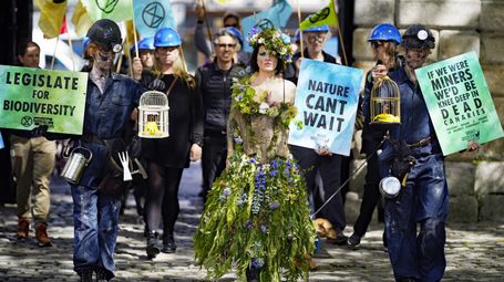 Rights of Nature and a Human Right to a Clean Environment; Ireland being the next country to recognize them!