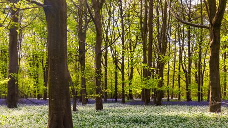 What happens after someone dies: the estate administration process explained