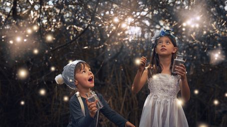 Why do fireflies glow? It’s more than butt goo!