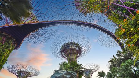 ICYMI: Feb 19 - March 4