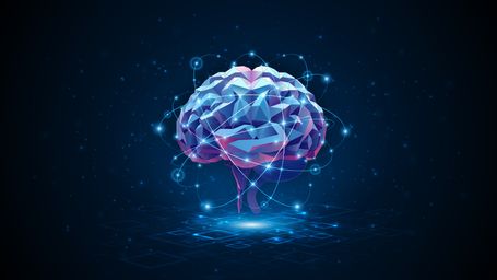 Developments in spinal injury research - “double neural bypass” technology