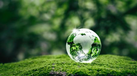 Why SMEs Hold the Key to Unlocking Global Sustainability 