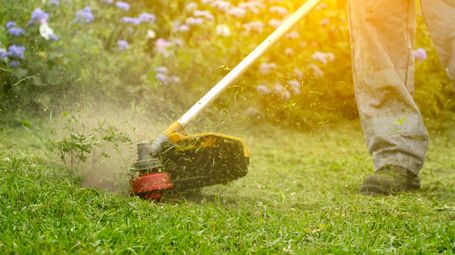 Just By Mowing a Lawn, Social Media Star Raises $685,000 for Bereaved Senior Who Fell Behind on Rent