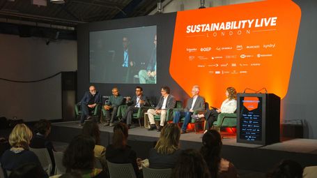 How AI Can Accelerate Sustainability Impact?