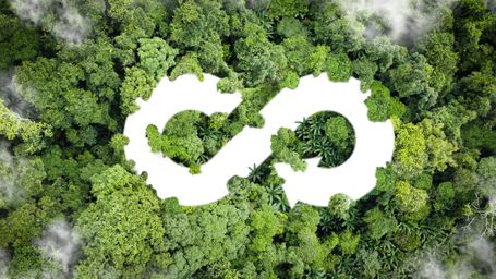 Designing for Circularity: Moving Beyond the Take-Make-Waste Economy