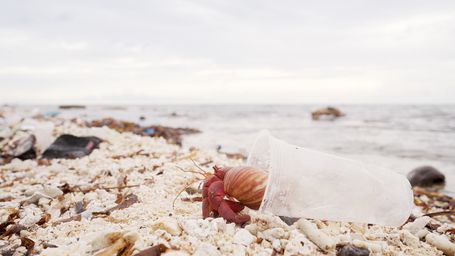 Development banks to invest 3 billion euros in ocean plastics fight