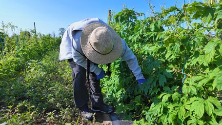 ¿Cómo salvar la biodiversidad que custodian los pueblos indígenas?