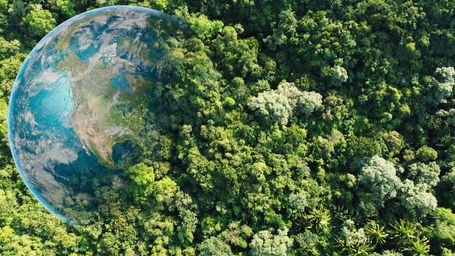 Consumers Are Willing To Pay for Sustainability – Are Businesses Doing Their Part?