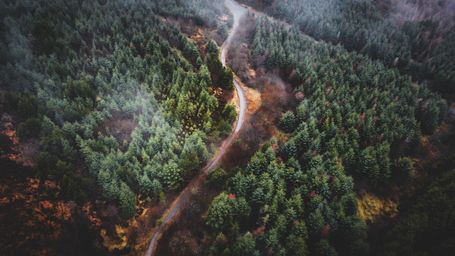 EUDR Delay: Why Certification is Key to Staying Ahead in Compliance