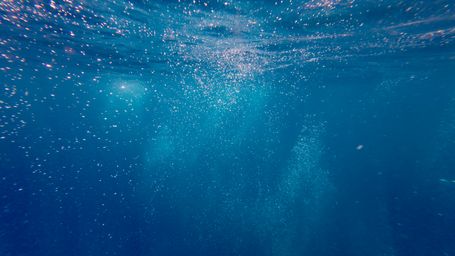 New study suggests that our waters are running out of breath