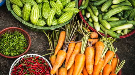 How to Expand Your Agricultural Export Opportunities and Increase Profitability