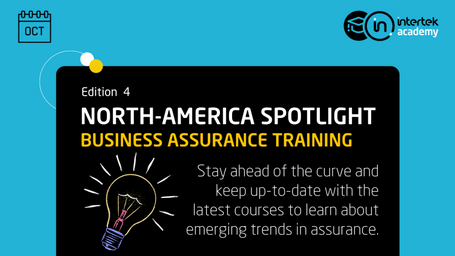 Go Global with Your Auditor Training: Learn from Anywhere!