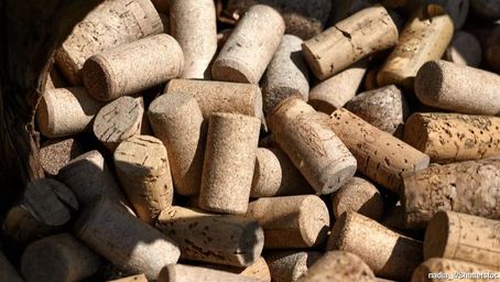Sustainable Cork: A Better Choice for Your Wine and Our Planet