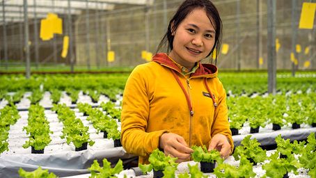 ILO, IFAD and CARE are teaming up to tackle poverty and inequality across the the agri-food sector