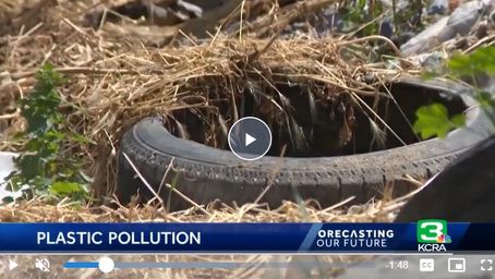 Which foods have the most plastics? The answer may surprise you