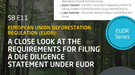 Assurance in Action Podcast: A close look at the requirements for filing a Due Diligence Statement under EUDR