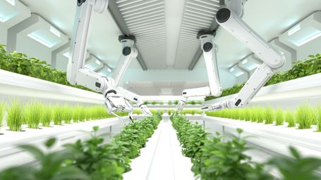The Future of Food: How Technology Will Revolutionize What We Eat
