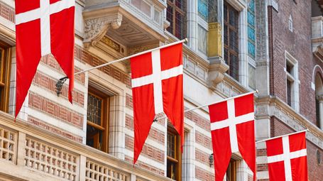 Trade Alert: Denmark