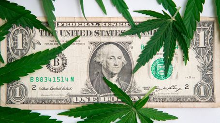 Hemp’s Tax Plot Twist: What IRS Training Slides Reveal