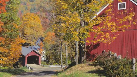 The Science of Fall Foliage