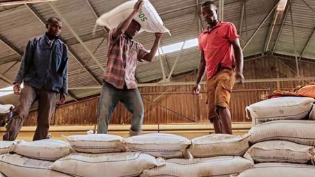 Debate rages over push for new green revolution in Africa's agriculture