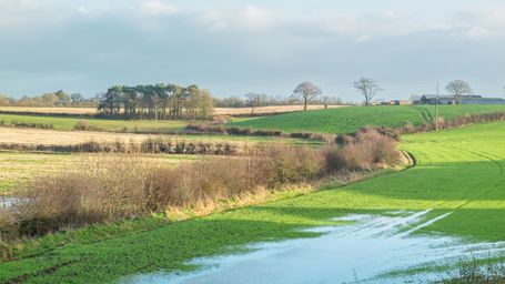 Appeal allowed in the long running CG Fry & Sons Limited case. What does it mean for stalled developments?