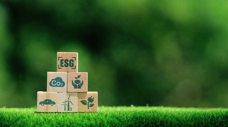 Enhancing ESG Strategy through PFMEA: A Proactive Approach to Sustainability