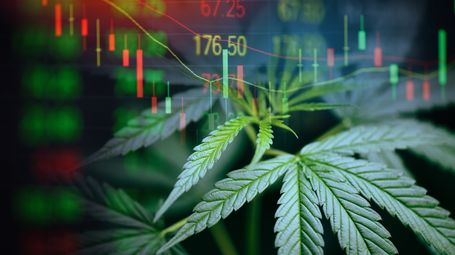 Cannabis Corporate Structures: IRS Trains to Open Every Door