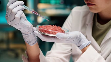 Beware of Climate Friendly Meat. What Meat Producers Need to Know 