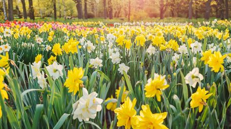 Planning with confidence: Your guide to the 2026 Spring Statement