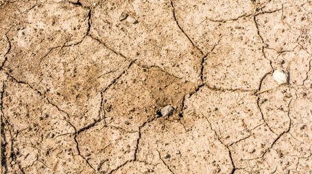 A Stark Reminder of a Thirsty Future