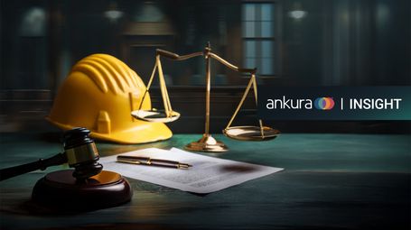 Overview: Complementary Frameworks for Forensic Delay Analysis in International Arbitration