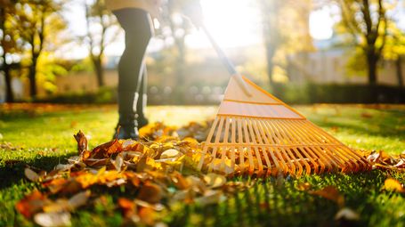 Bannir les souffleuses à feuilles à essence