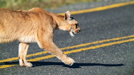 The importance of maintaining nature's equilibrium
