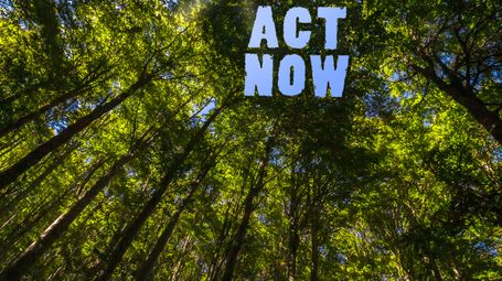 Show me the Money: How serious is Sustainability Reporting being taken