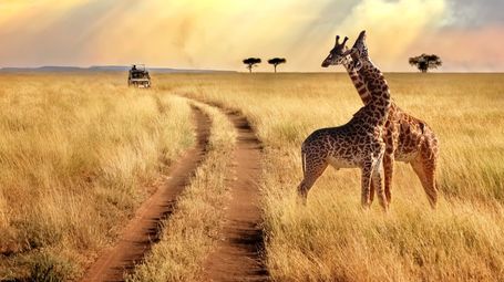 Making Sustainability Work Locally: Lessons from Africa