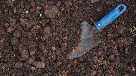 The Future of Home Energy Might Be Hiding in Your Backyard Soil