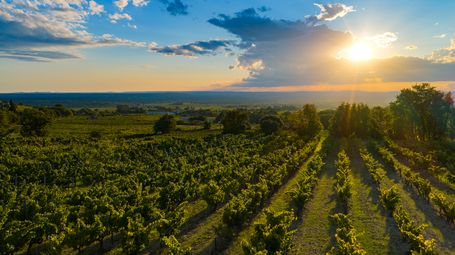 A Toast to Innovation in a Changing Climate