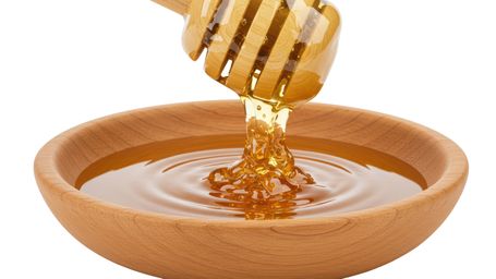 What we can learn about and from bees!