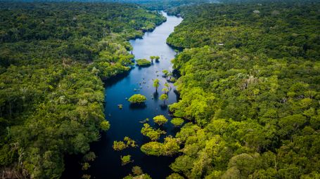 The untapped medical potential of the Amazon