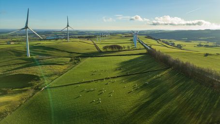 With 4 Steps, Sustainability Disclosures Can Help Companies Earn Investor Trust